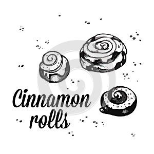 Cinnamon rolls sketch. Sweet bakery. Hand drawn vector illustration isolated on white background.